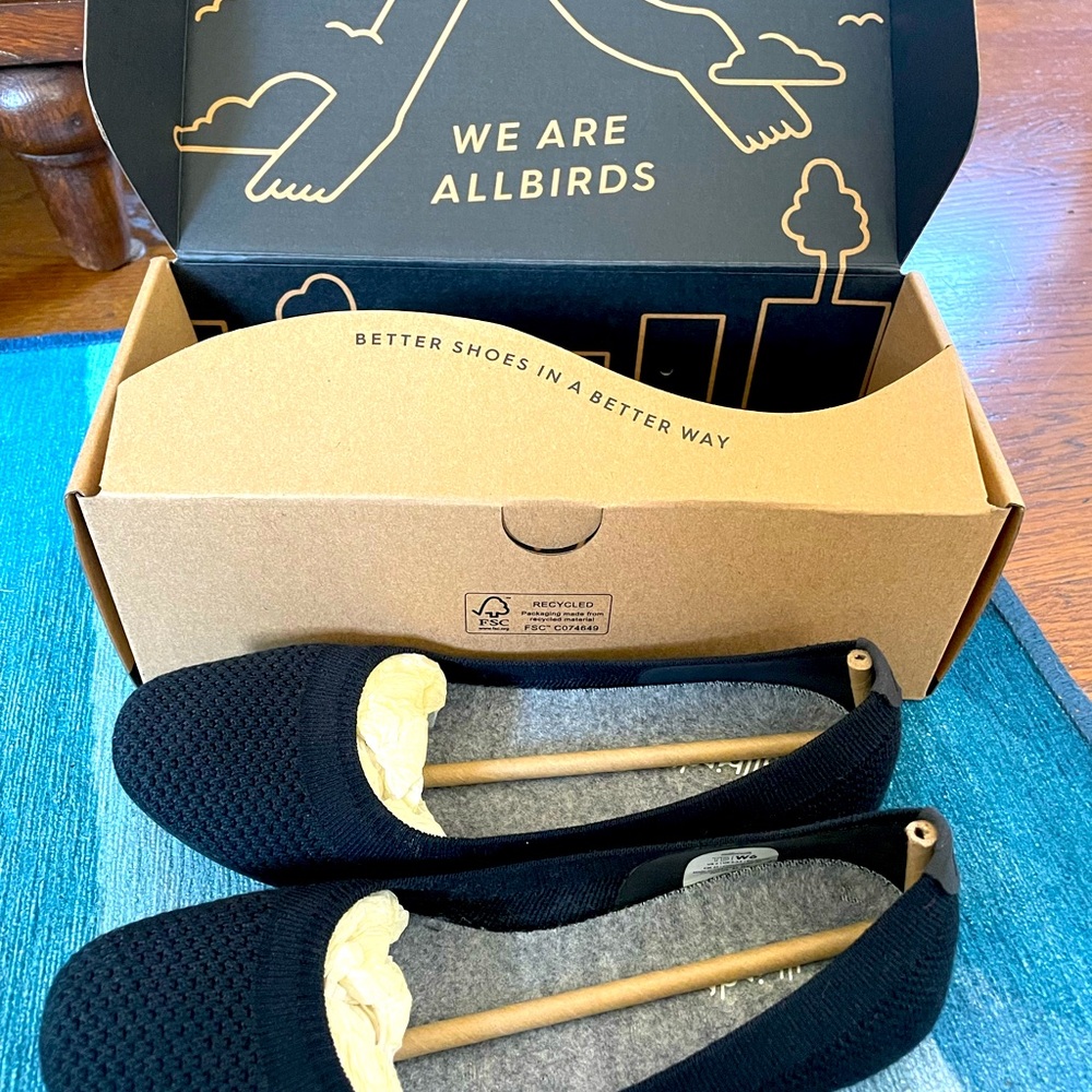Allbirds Tree Breezers ballet flats